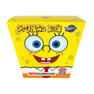 Sponge Boy