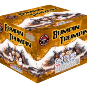 Butterfly Rocket (72/6)