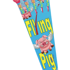 Flying Pig Rocket (20/5)