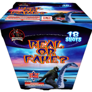 Real or Fake