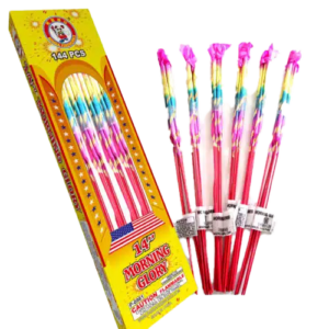 14" Morning Glory (15/12/12)